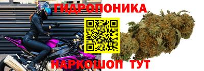 прущие крисы Заволжье