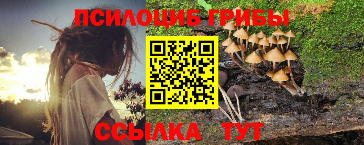 Галлюциногенные грибы GOLDEN TEACHER  Вход с VPN  Истра  Псилоцибиновые грибы Magic Shrooms 